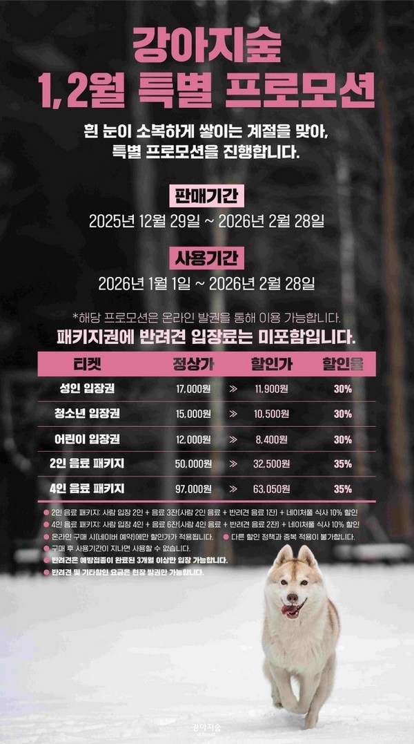 “설경 속에서 맞는 특별한 새해”…강아지숲, 1·2월 특별 프로모션 실시
